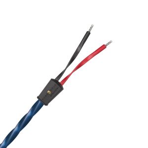 Wireworld Oasis 10 cable para parlantes Audiofilo Store